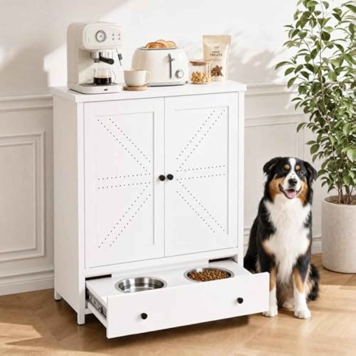 Food Storage Dog - Estación de alimentación para mascotas de