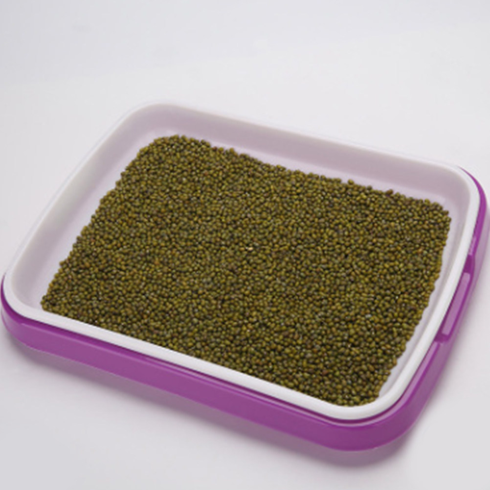 Bandeja de Germinación de Mate - Food Storage Roots reseña y precio