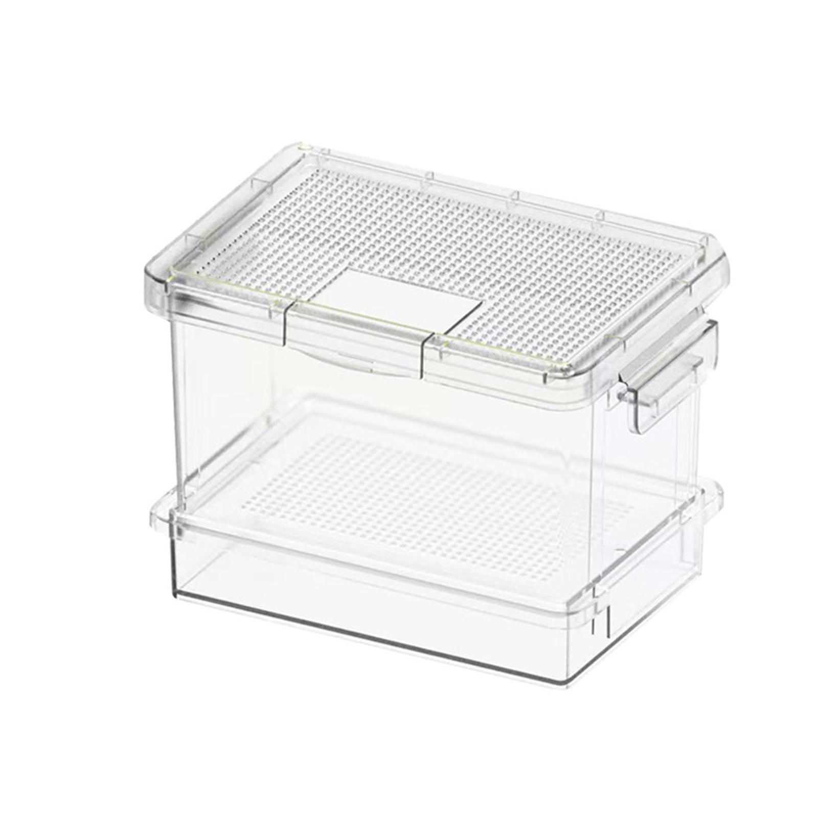 Comedero de plástico para tort - Food Storage Boxes reseña y precio
