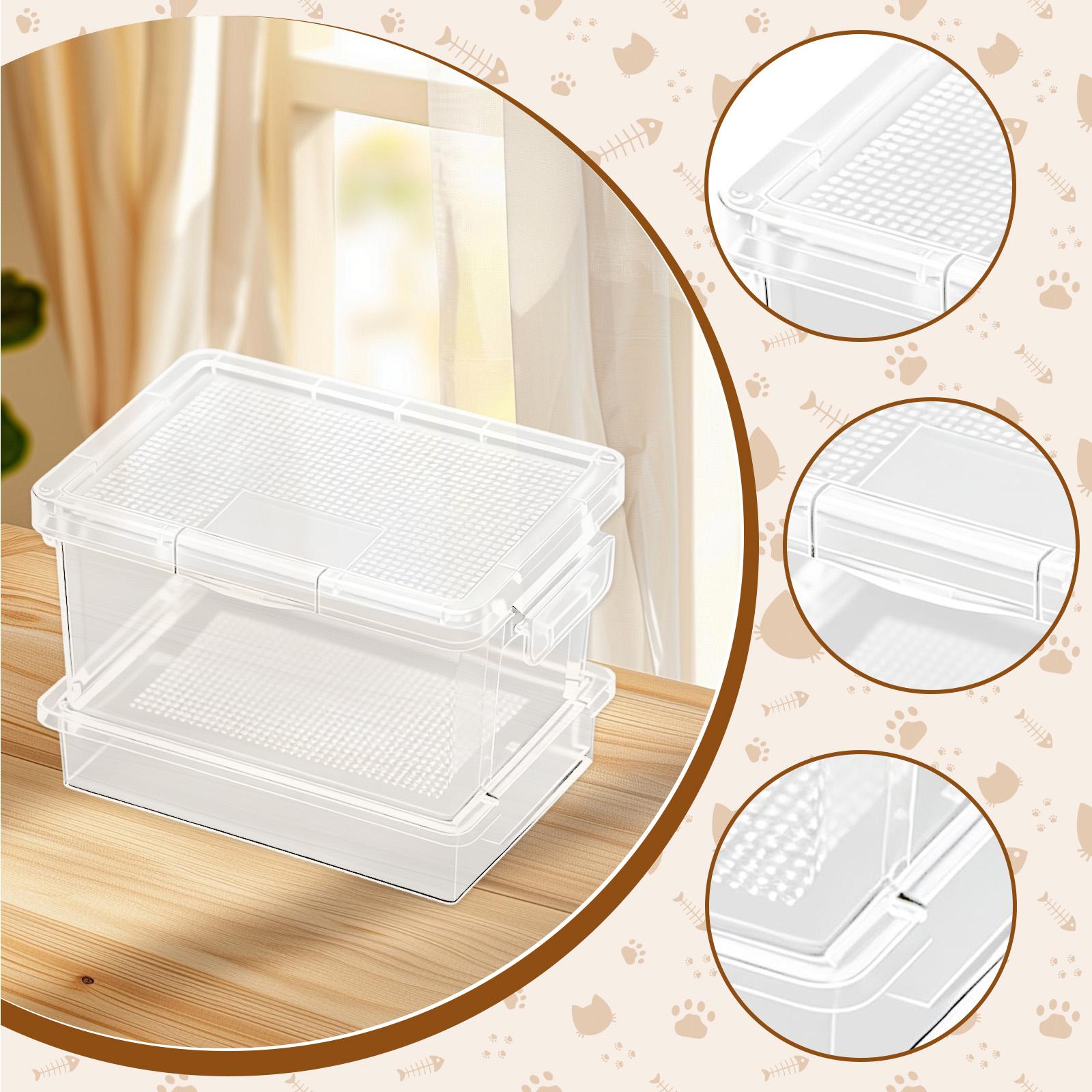 Comedero de plástico para tort - Food Storage Boxes reseña y precio